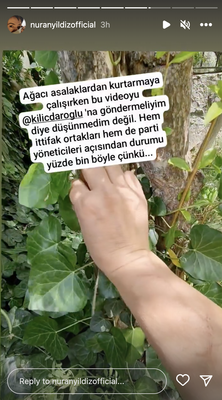 İletişim Profesöründen Kılıçdaroğlu’na ağaçlı gönderme - Resim : 1