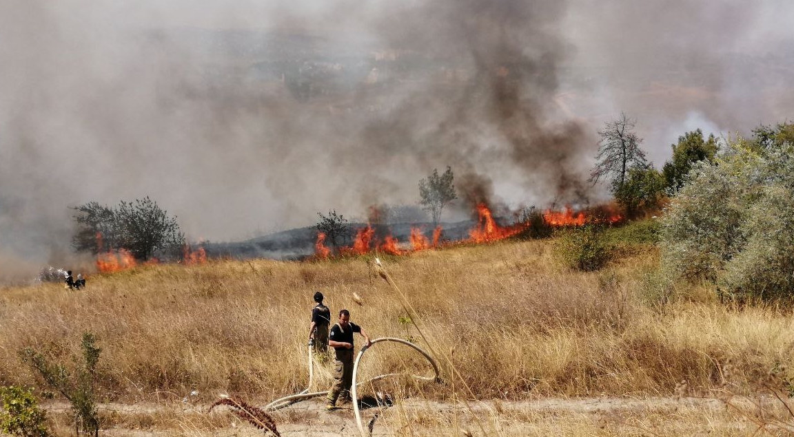 İstanbul'da ormanlık alanda yangın - Resim : 2