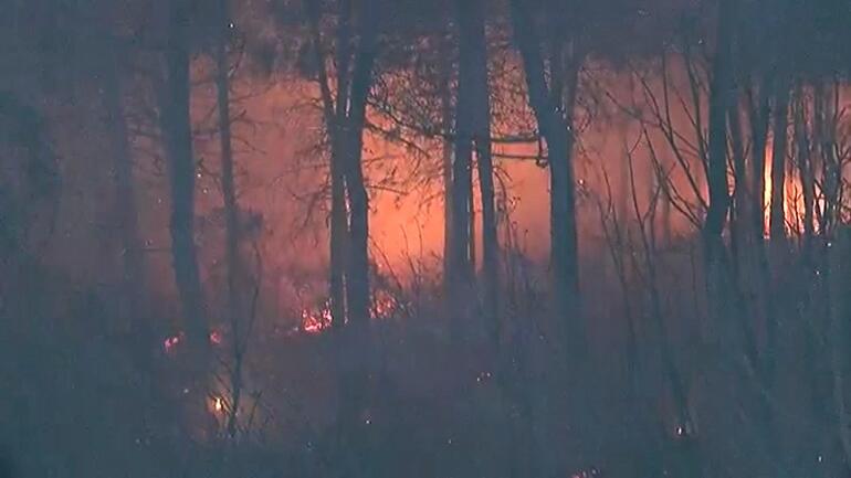 İstanbul'da orman yangını - Resim : 4